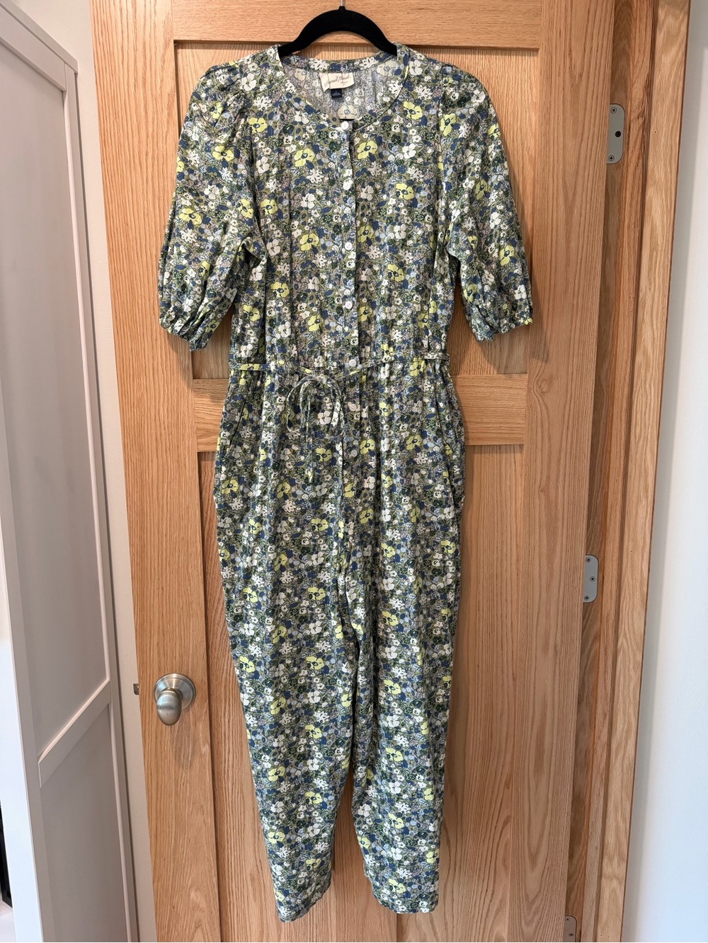 Universal Thread Floral Button-Front Jumpsuit in Green and Blue Floral